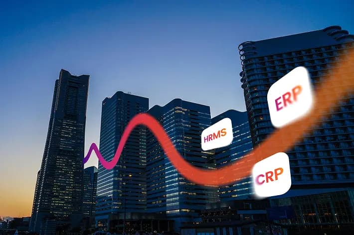 Enterprise Software Solution Services